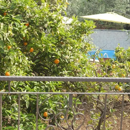 דירה Donna