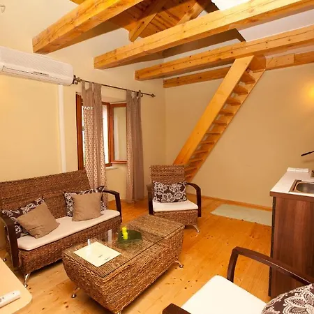 Donna * Τρογκίρ