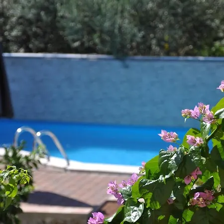 Apartment Donna Trogir