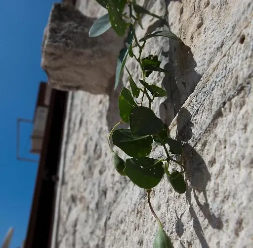 Donna Апартаменты *